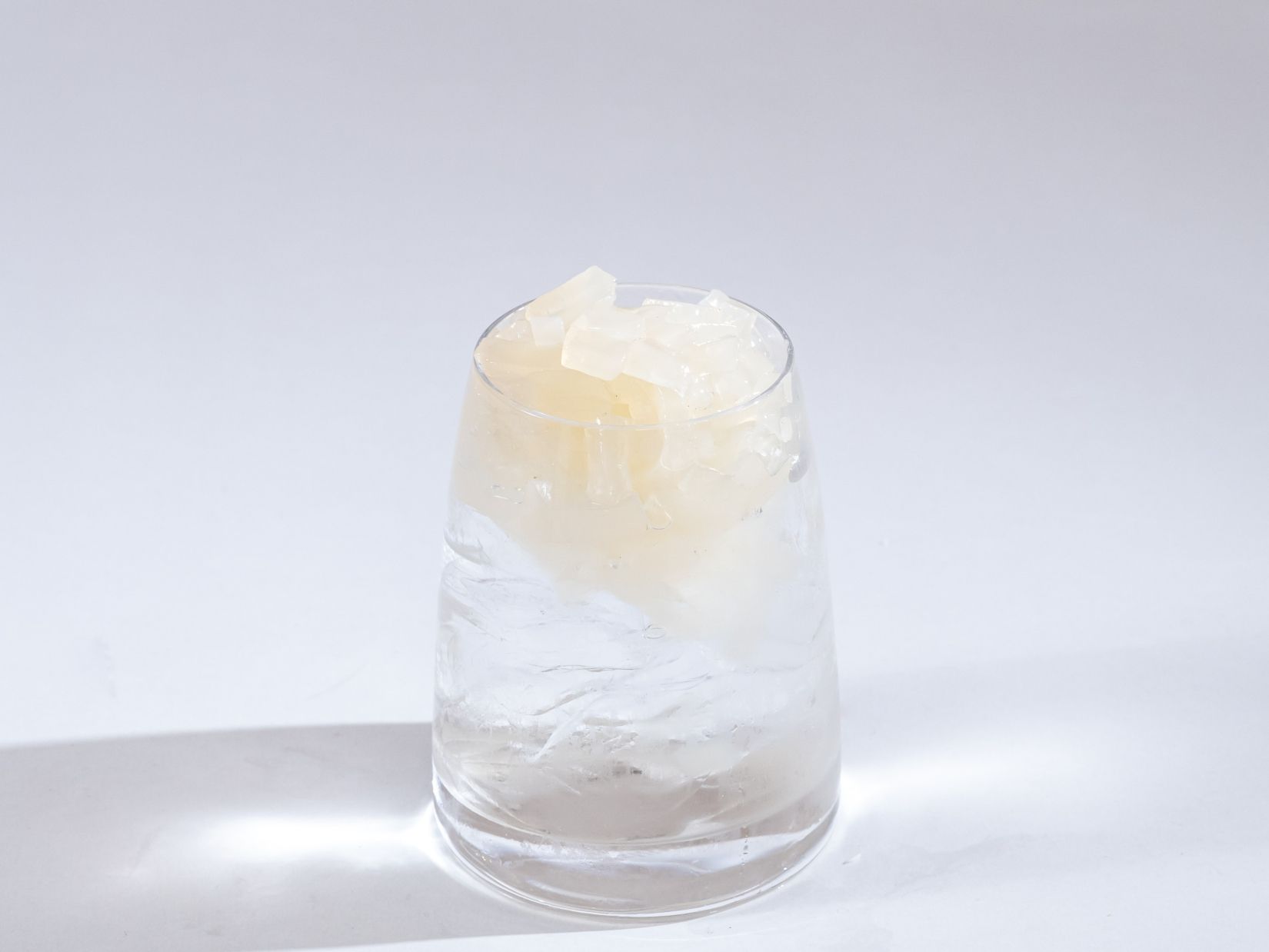 荔枝椰果工廠