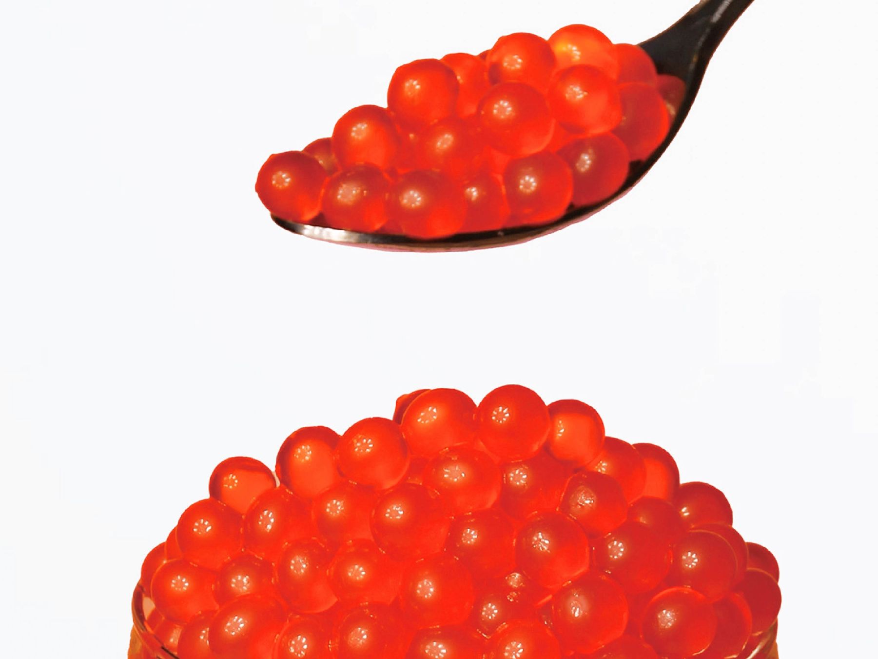 紅石榴魔豆供應商